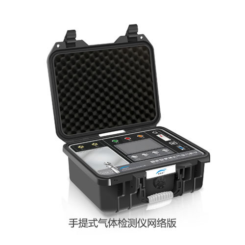 手提式气体检测仪网络版