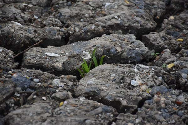 和田地区全域开展危废规范化评估 守护生态环境安全