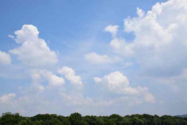 精准“削峰”战臭氧，全力守护“瓷都蓝”