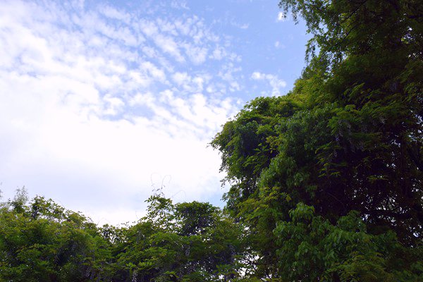 生态环境部部长黄润秋出席甲烷与其他非二氧化碳温室气体峰会并会见外方高级代表