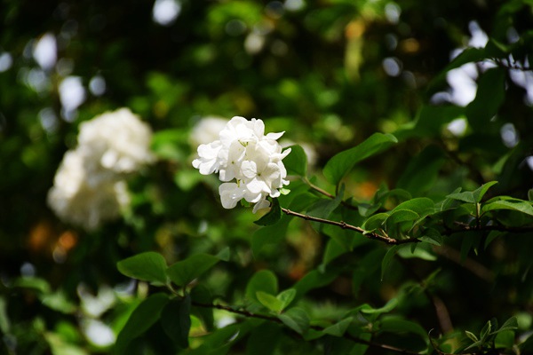 重庆市生态环境监测中心打造“美丽水源E卫士”系统：守护超大城市饮水安全防线