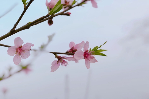 助企精准治污降本增效，苏州首个“炭管家”智慧平台全面推广