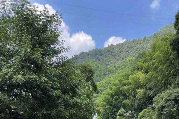 宁夏“十五五”规划建议出炉 加快经济社会发展全面绿色转型